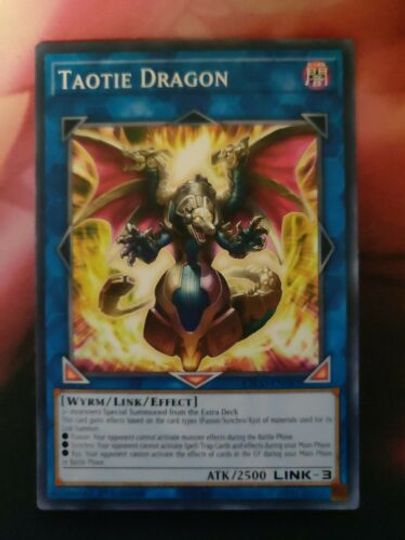 taotie dragon etco-en083