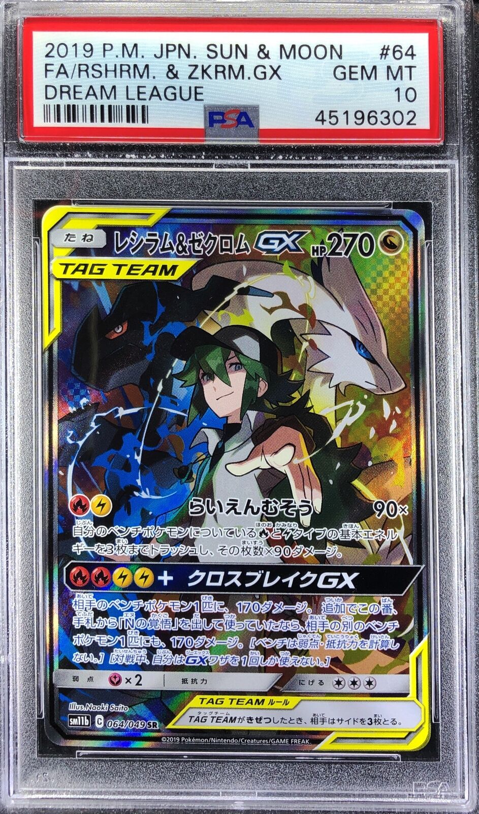 Anything Goes - [DONE] Zekrom (GP 1/1)